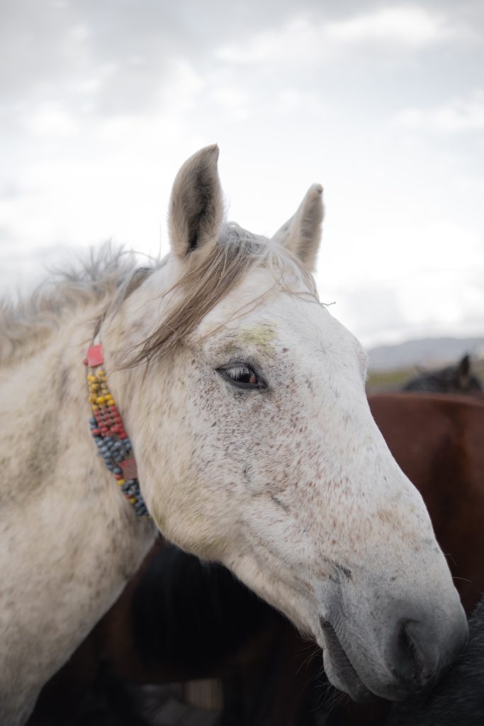 Custom RV Furniture Solutions: Aesthetic And Functional Design Ideas