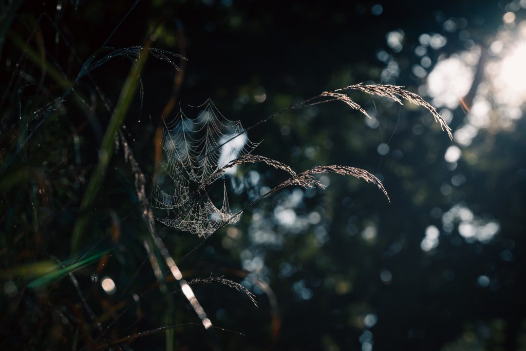 What Considerations Should I Take Into Account When Choosing An RV Campground?